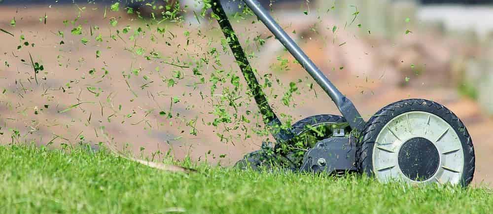 Lawn Care image